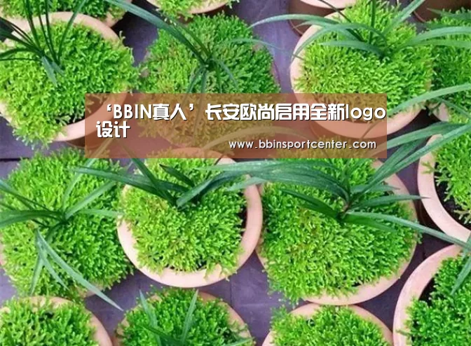 BBIN百家乐
