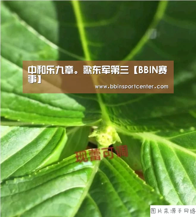 中和乐九章。歌东军第三【BBIN赛事】
